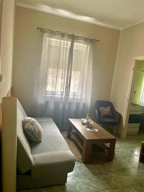 Alice Vendeghaz Bed & Breakfast Kalocsa Ngoại thất bức ảnh