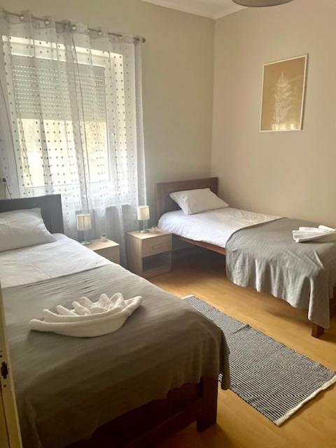 Alice Vendeghaz Bed & Breakfast Kalocsa Ngoại thất bức ảnh